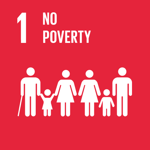 Ellume SDG Goals 1