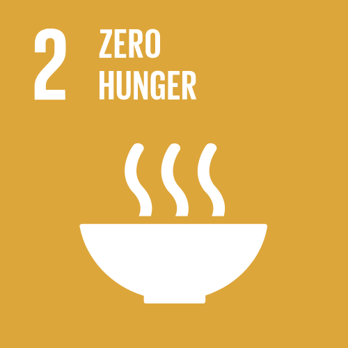 Ellume SDG Goals 2