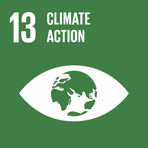 Ellume SDG Goals 13